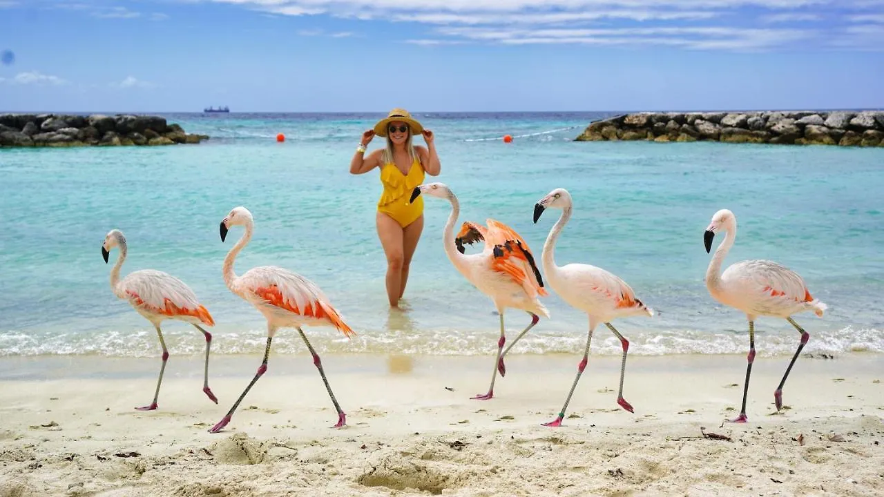 Opal 125 Villa Palm Beach 0*,  Aruba