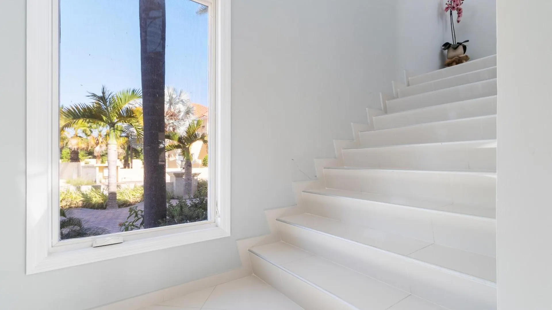 Opal 125 Villa Palm Beach 0*,  Aruba
