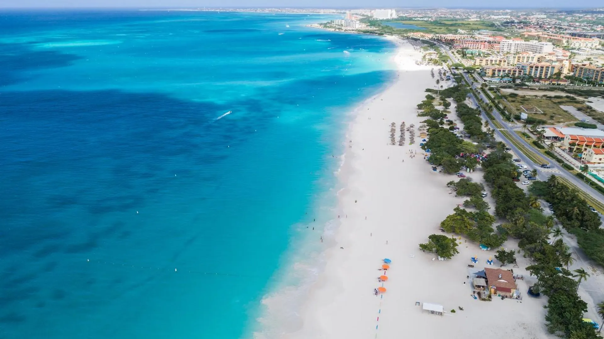 Opal 125 Villa Palm Beach